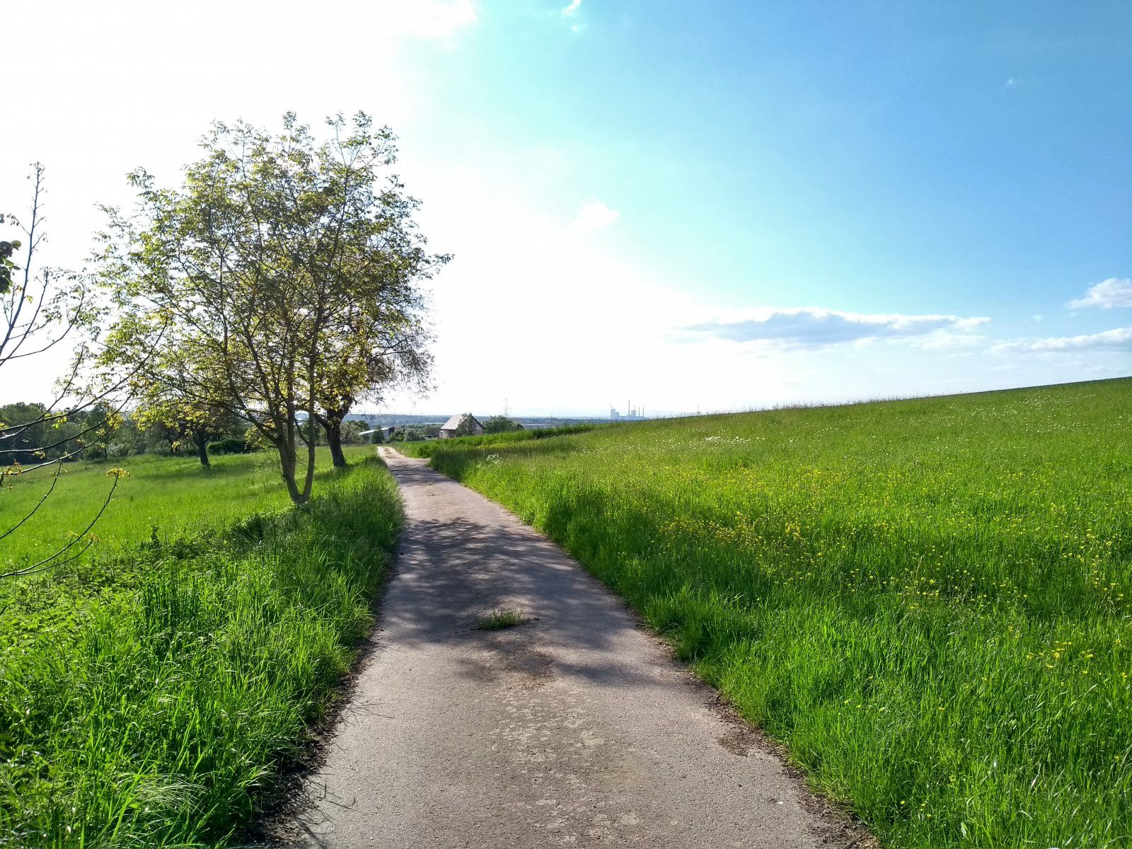 IMG_20220506_175716475_HDR.jpg