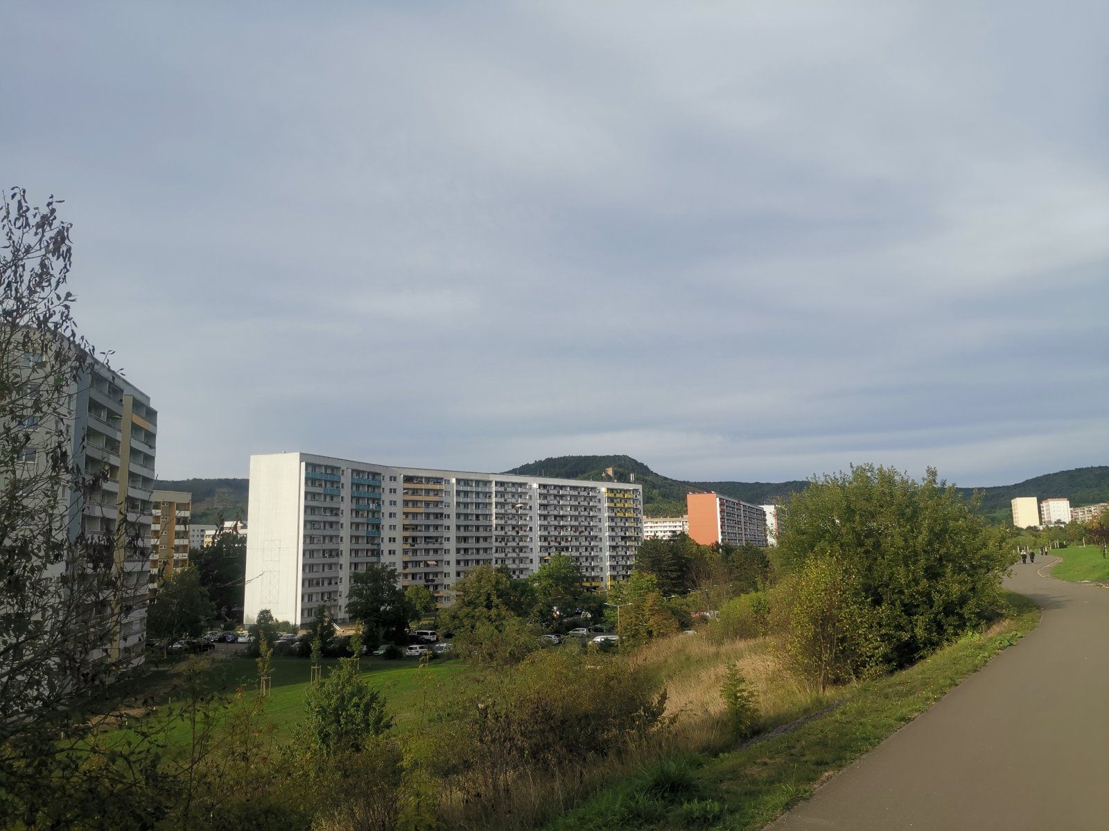 IMG_20220912_173447.jpg