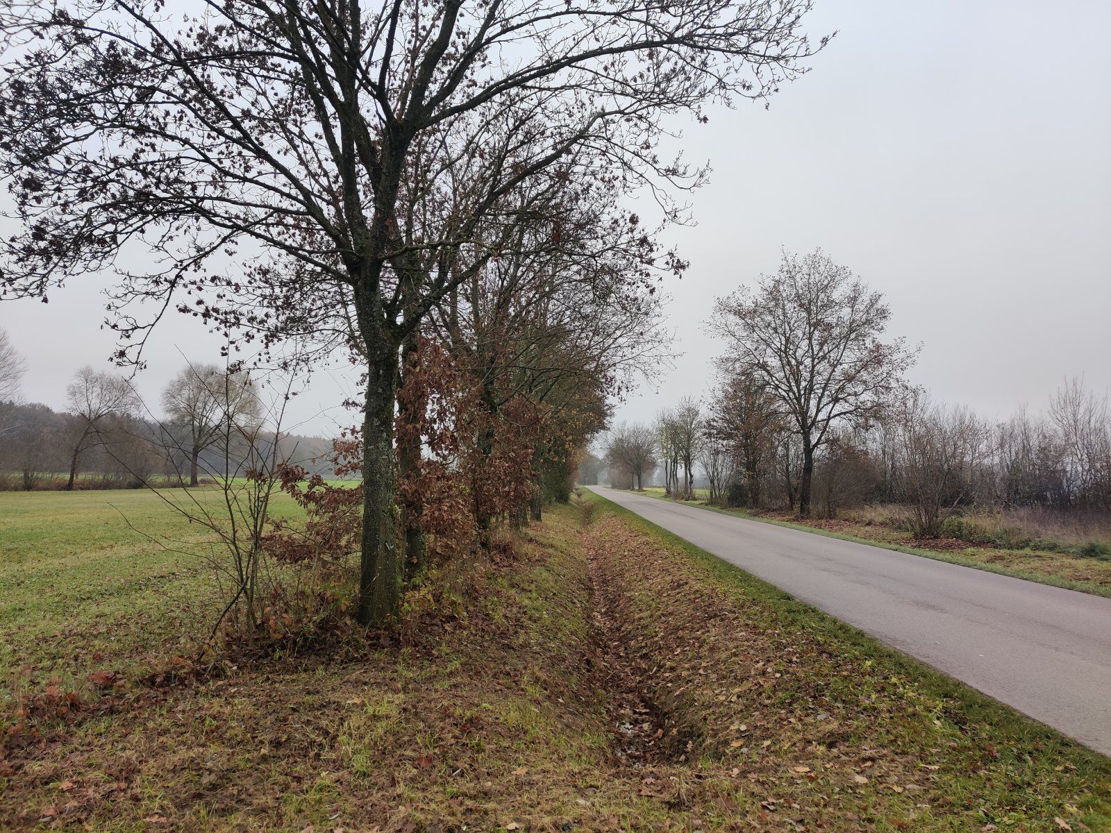 IMG_20221203_143824.jpg
