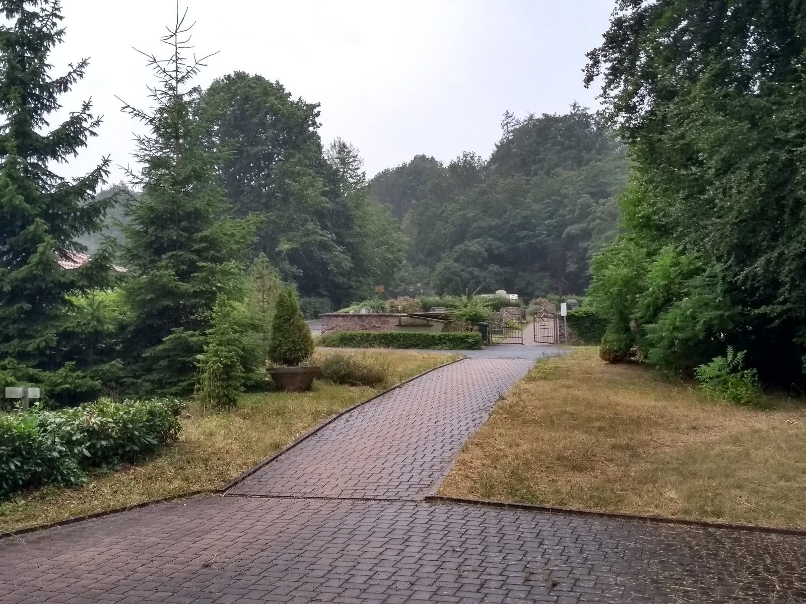 IMG_20230715_174840740_HDR.jpg