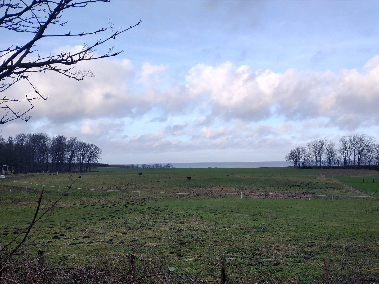 IMG_20231230_142439963_HDR.jpg
