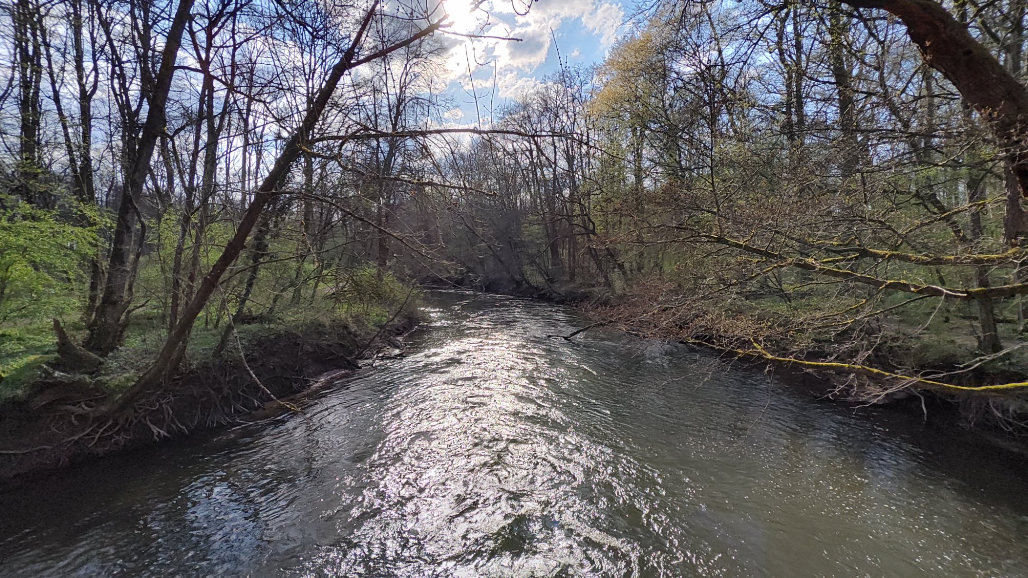IMG_20250402_165409761_HDR.jpg