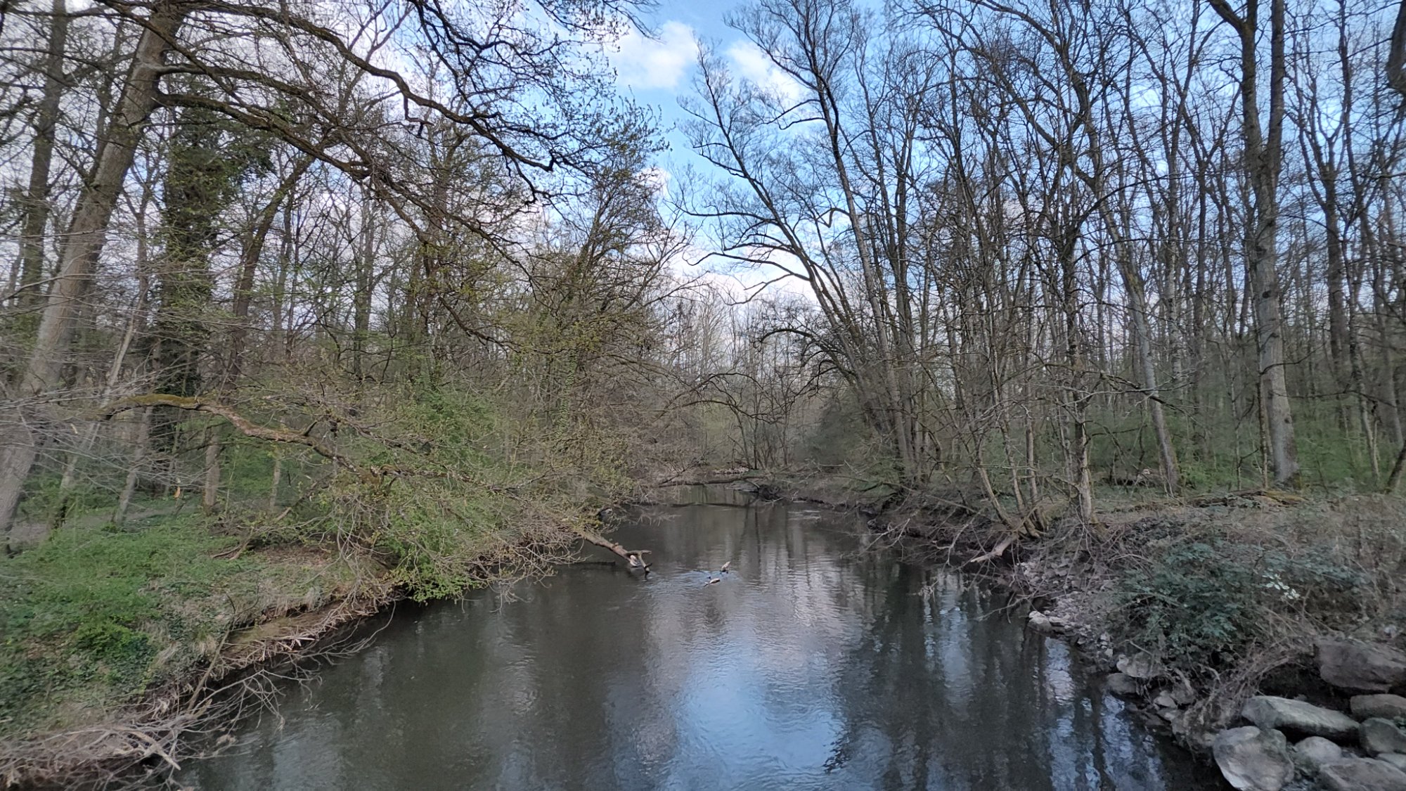 IMG_20250402_165435740_HDR.jpg