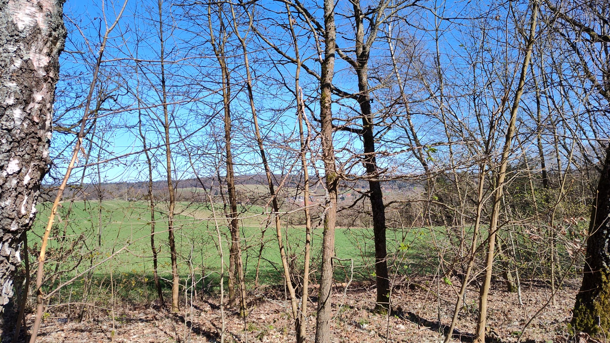 IMG_20250406_154115832_HDR.jpg