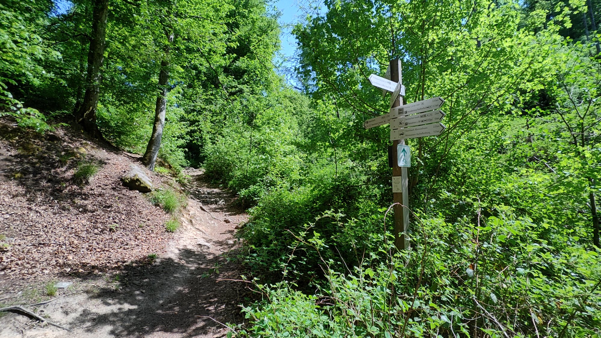 IMG_20250502_135013207_HDR.jpg