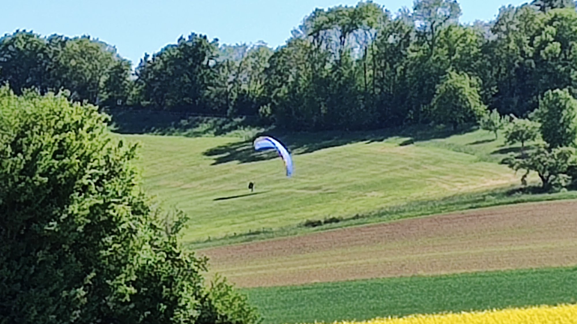 IMG_20250510_153946558.jpg