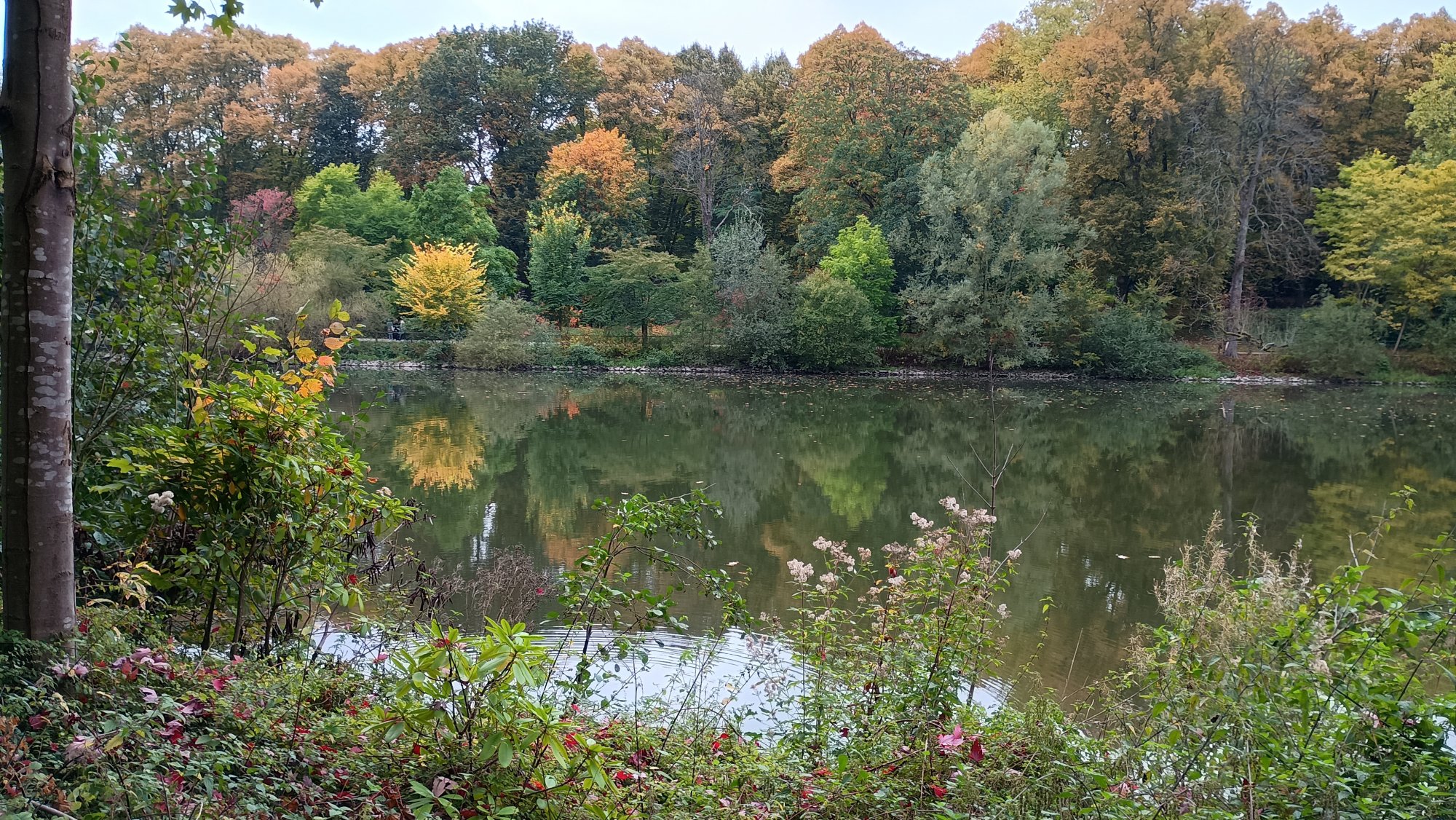 IMG_20251012_165346561_HDR.jpg