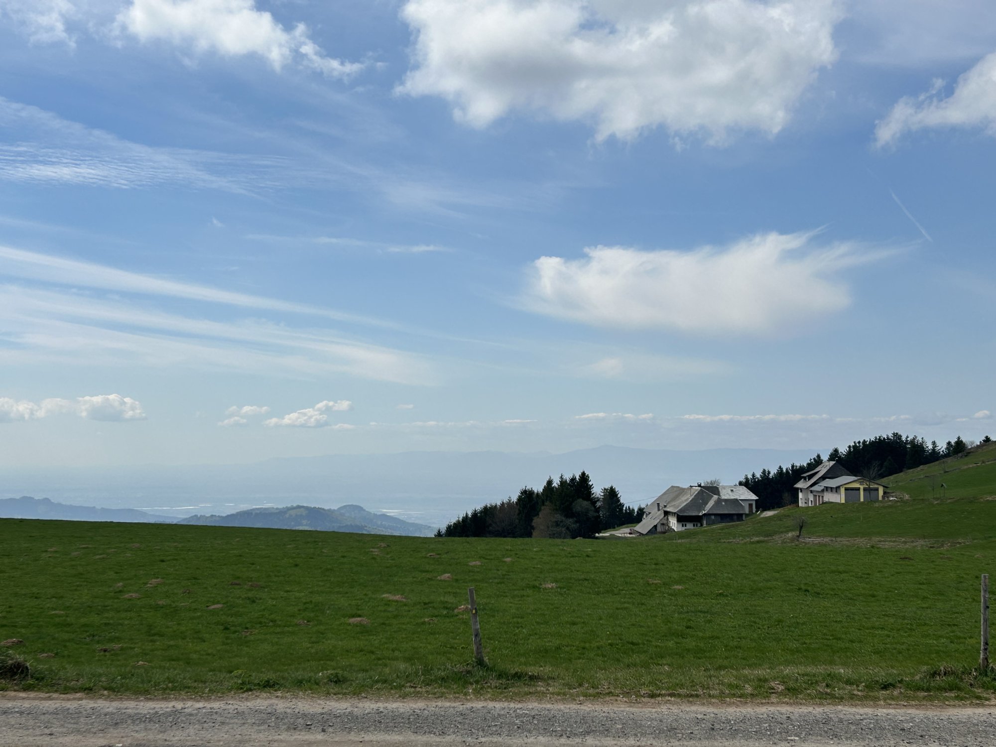 IMG_2101.jpeg