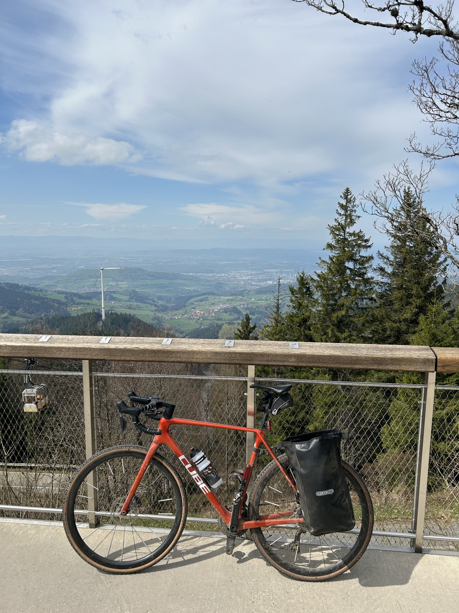 IMG_2105.jpeg