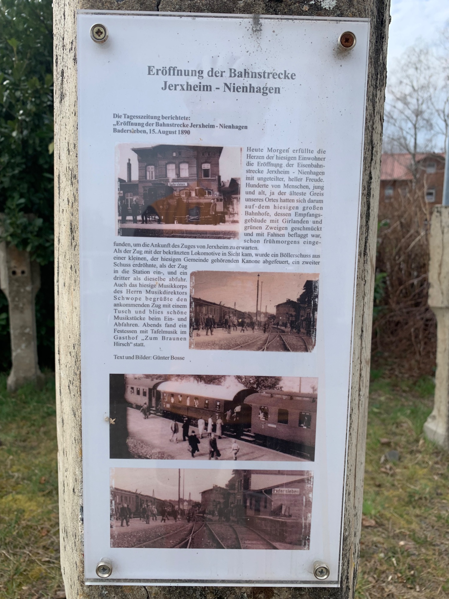 IMG_2135.jpeg