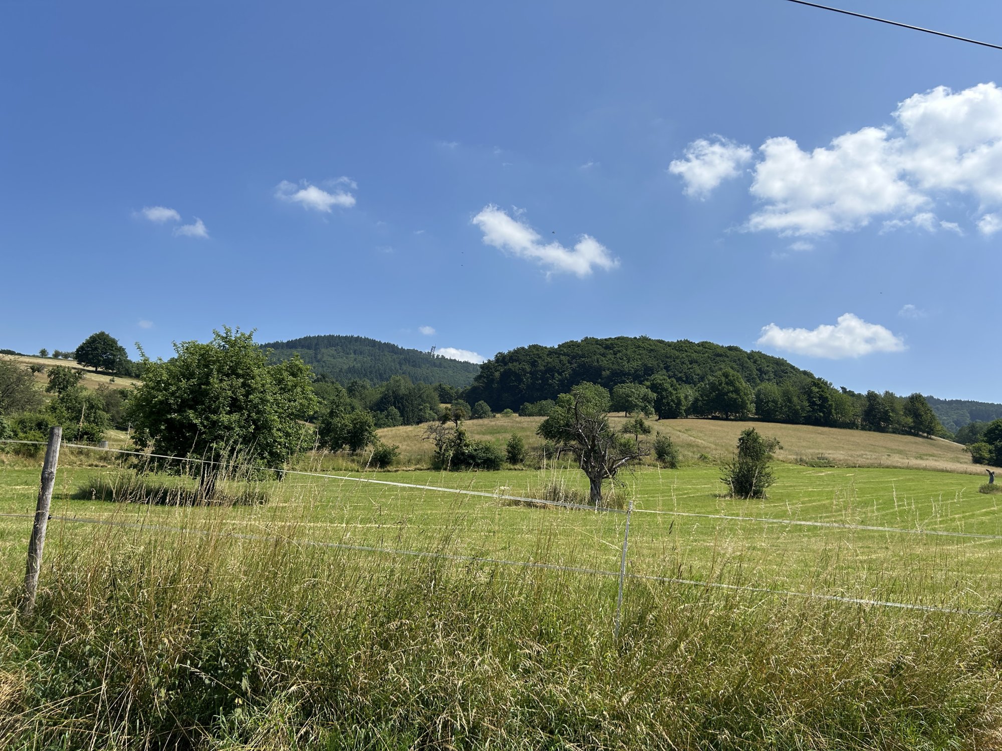 IMG_2269.jpeg