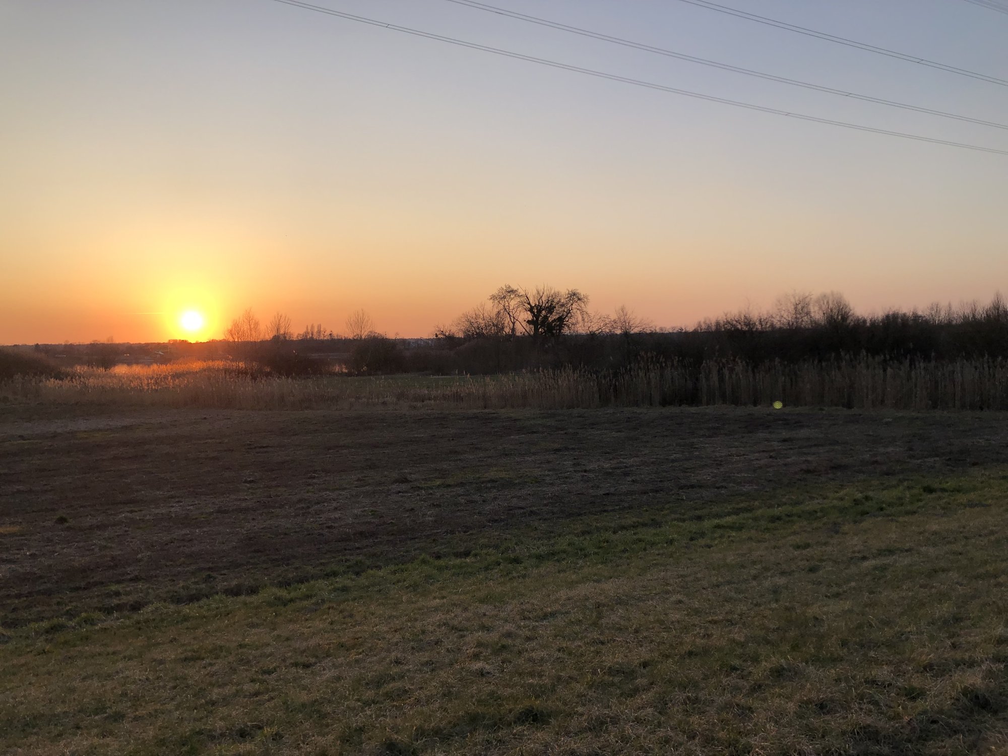 IMG_2283.jpeg