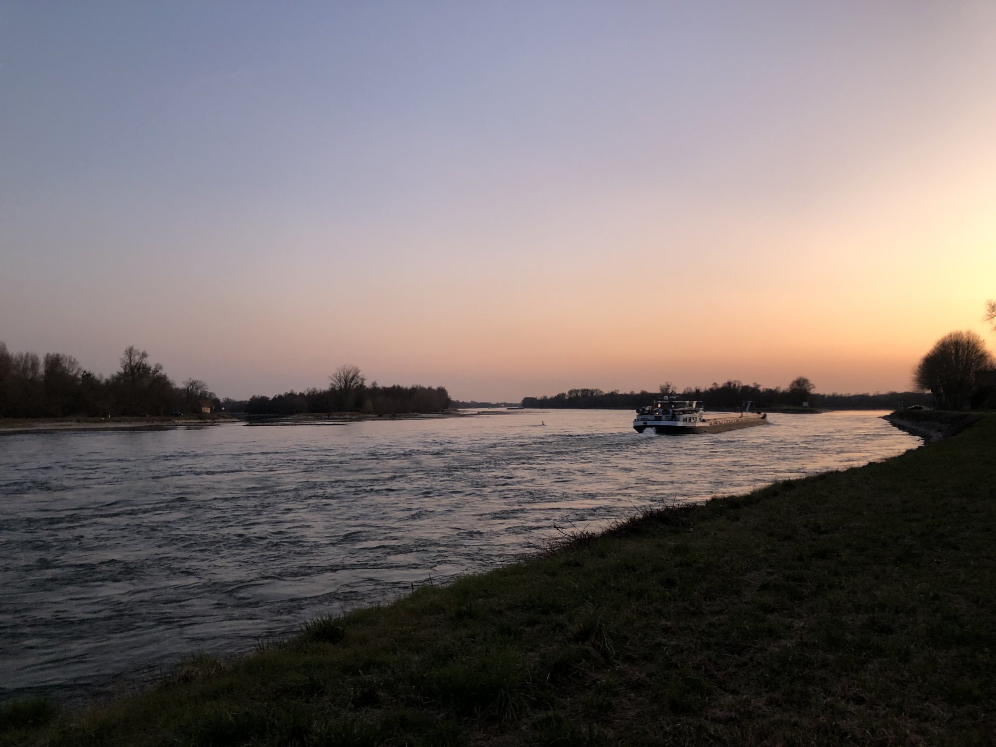IMG_2286.jpeg