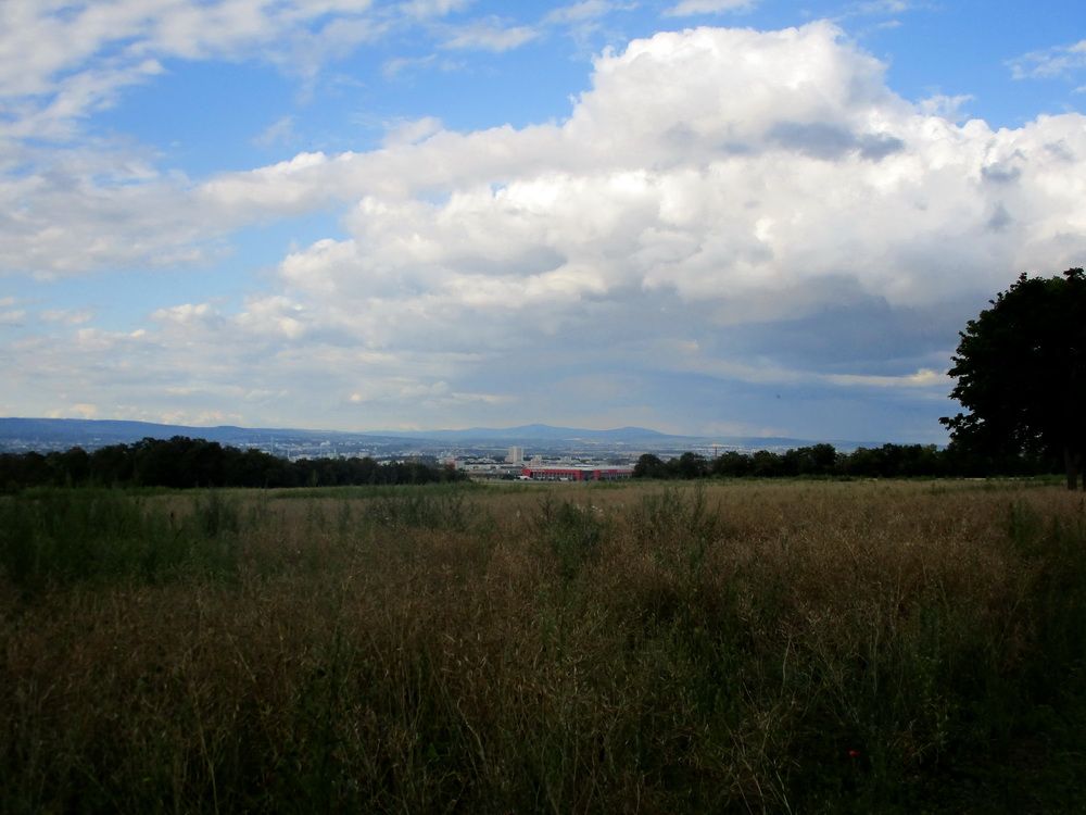 IMG_2287.JPG