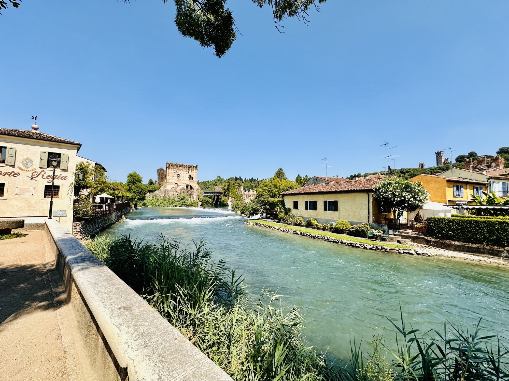 IMG_2378.jpeg