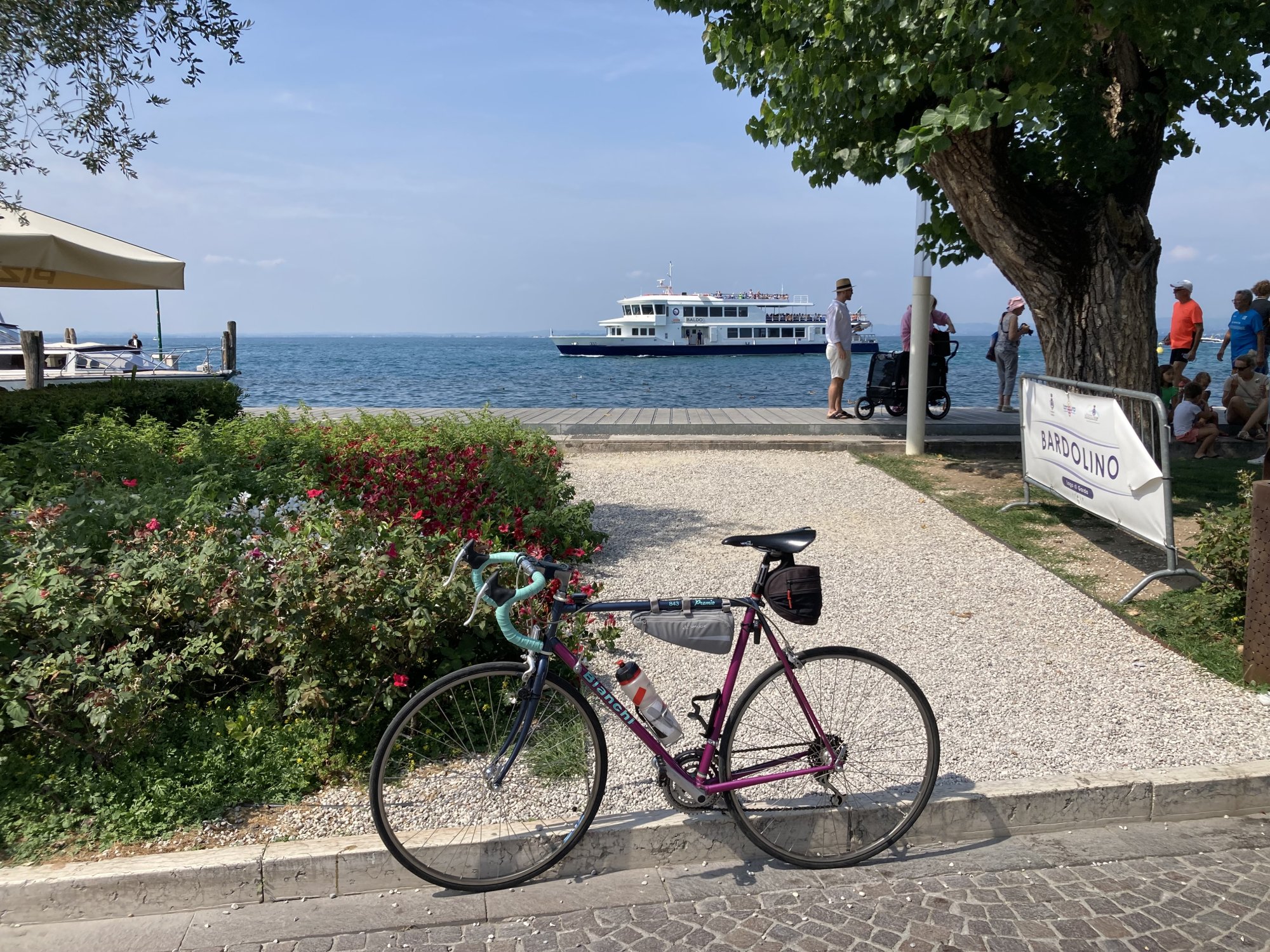 IMG_2380.jpeg