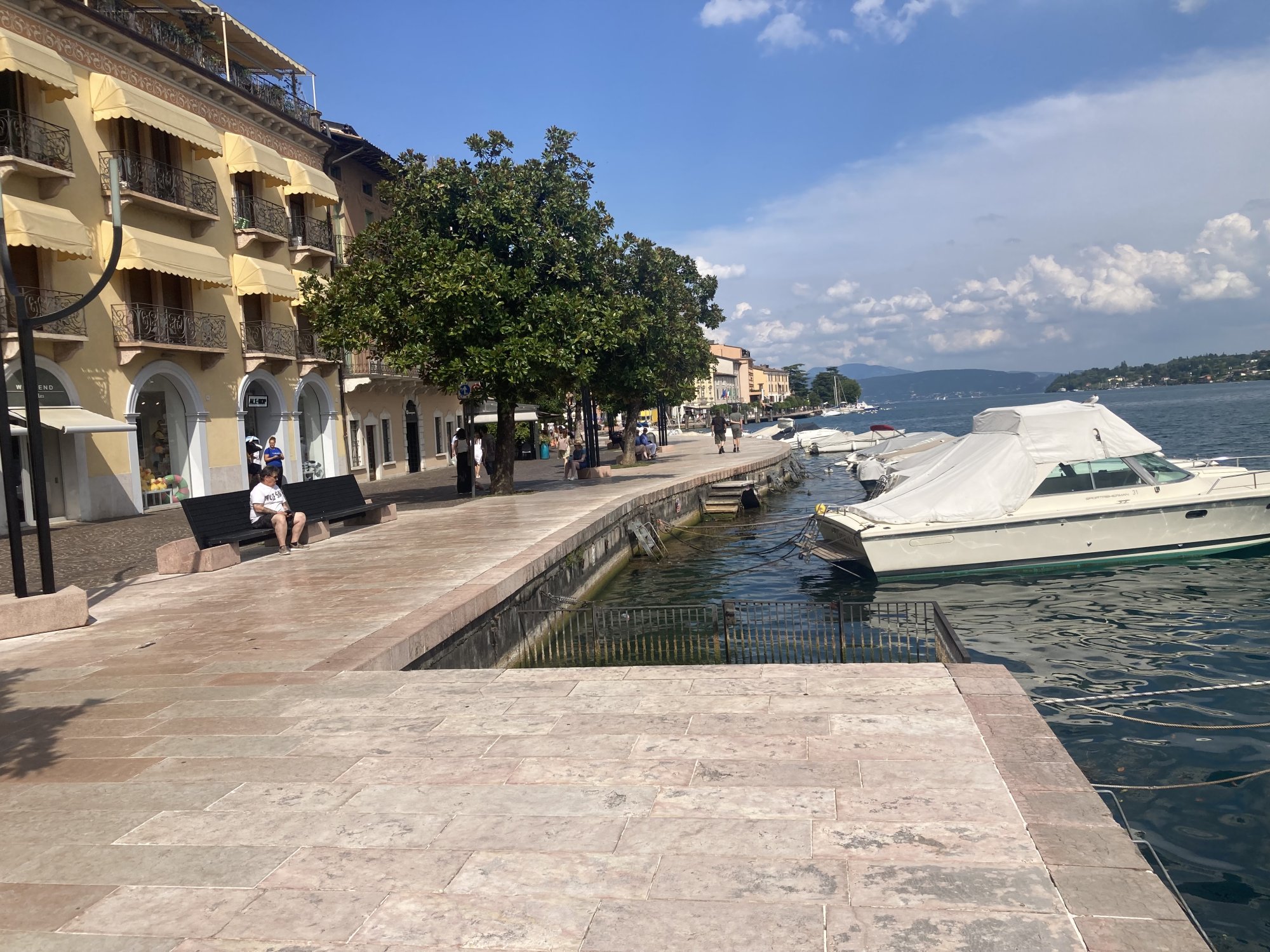 IMG_2445.jpeg