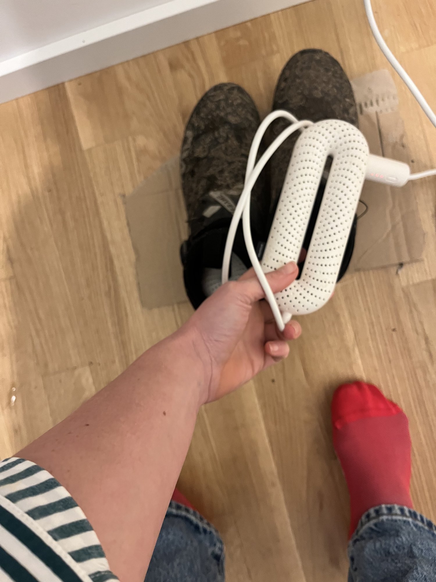 IMG_2472.jpeg