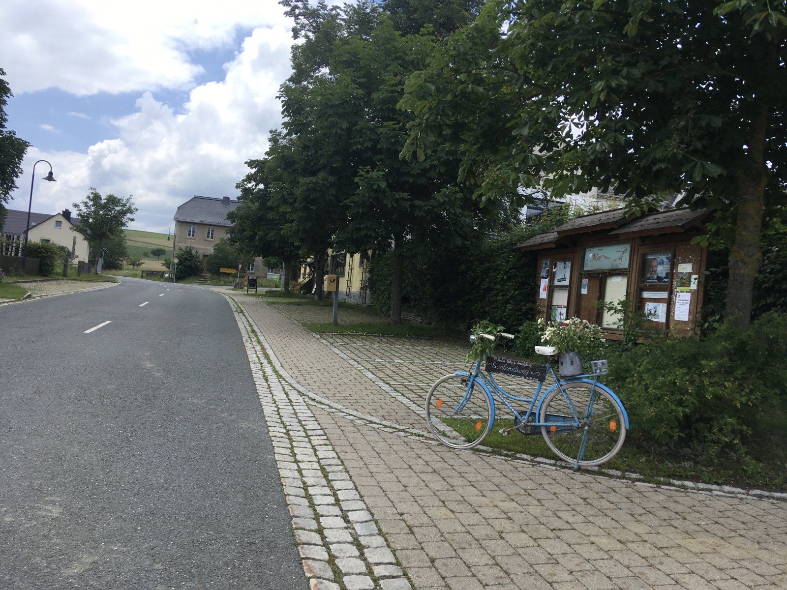 IMG_2480.jpeg