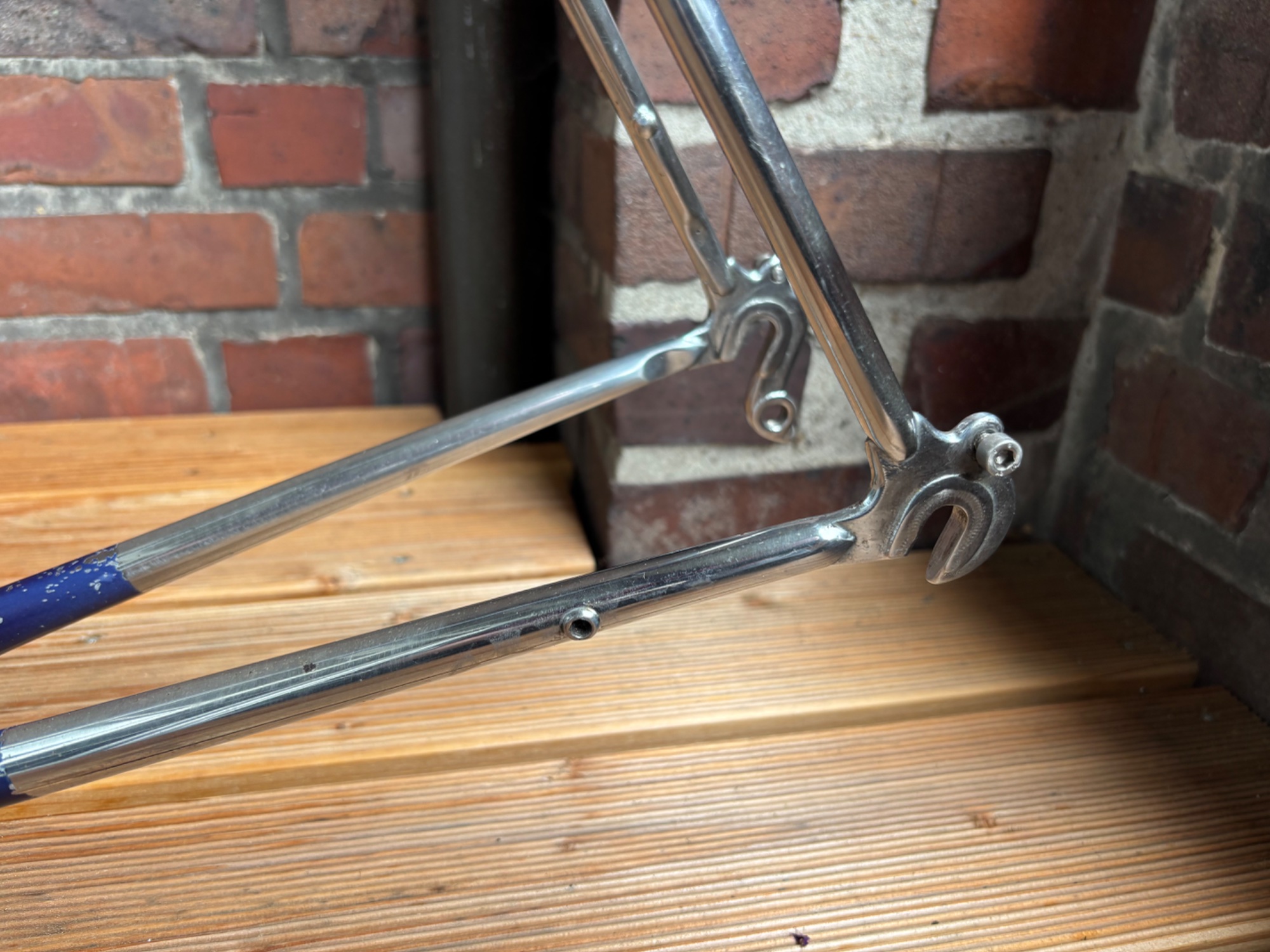 IMG_2536.jpeg