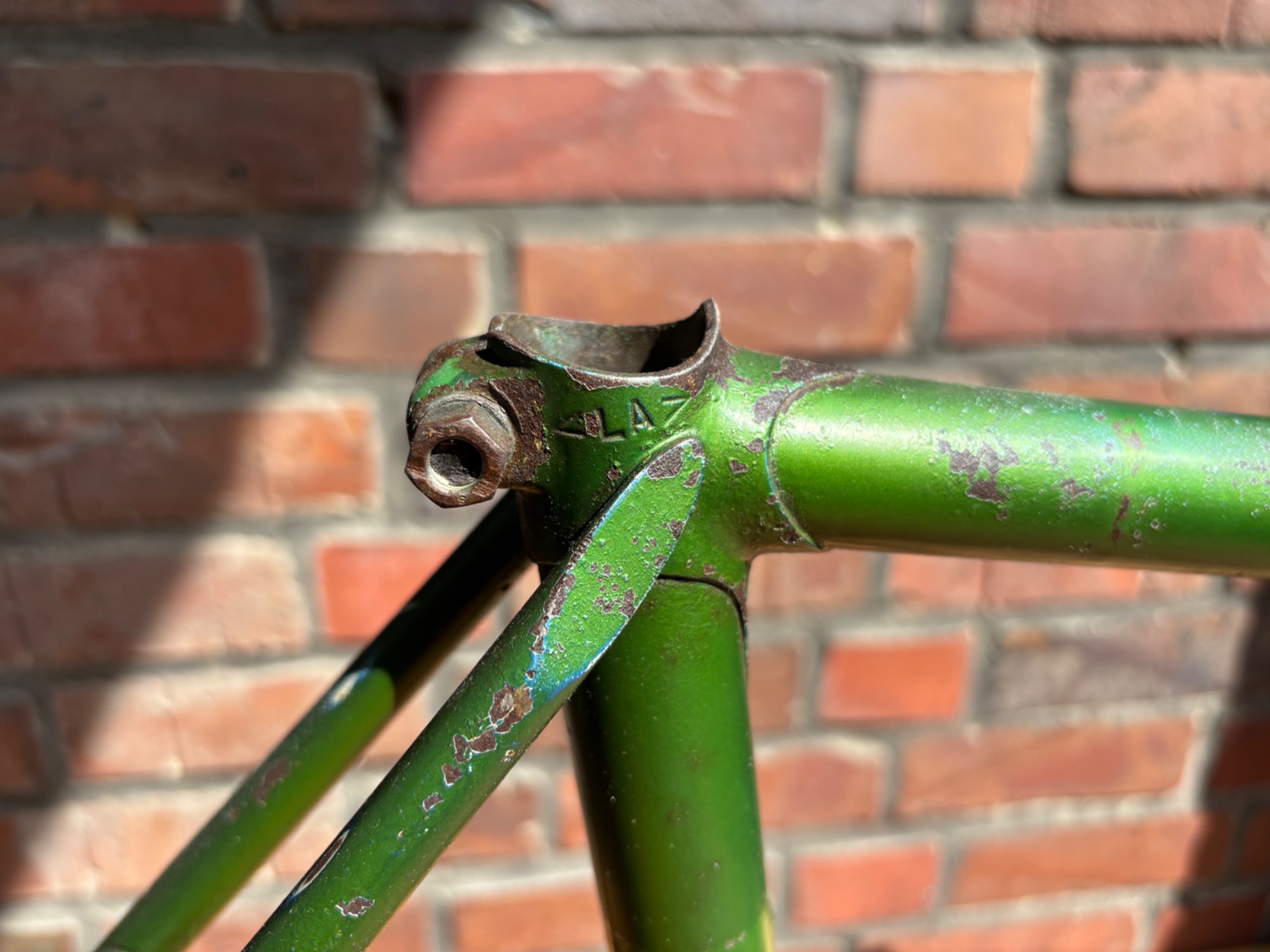 IMG_2549.jpeg
