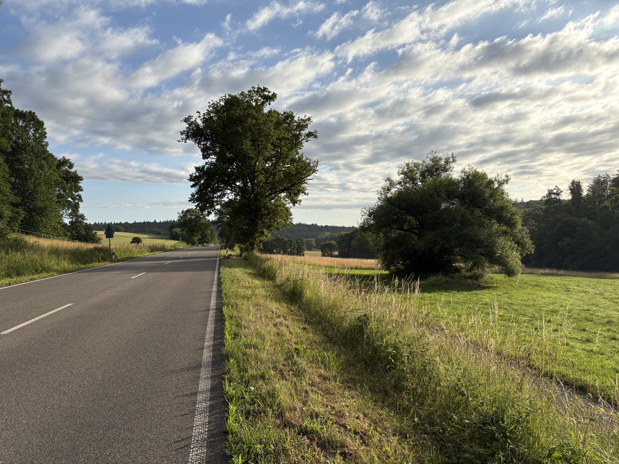 IMG_2814.jpeg