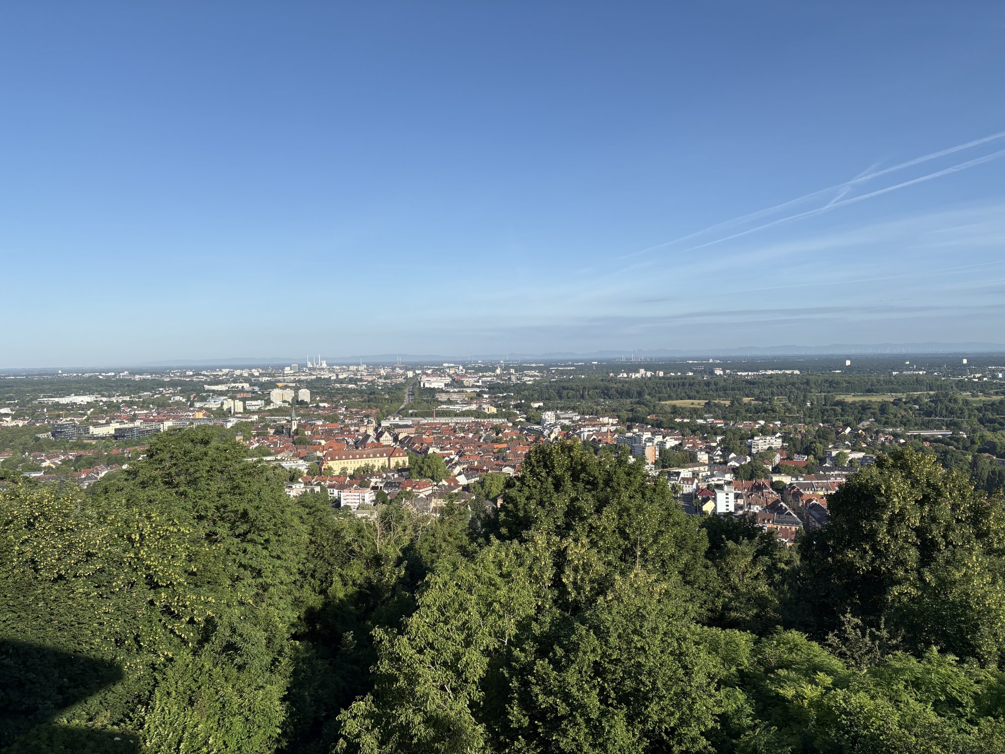 IMG_2815.jpeg