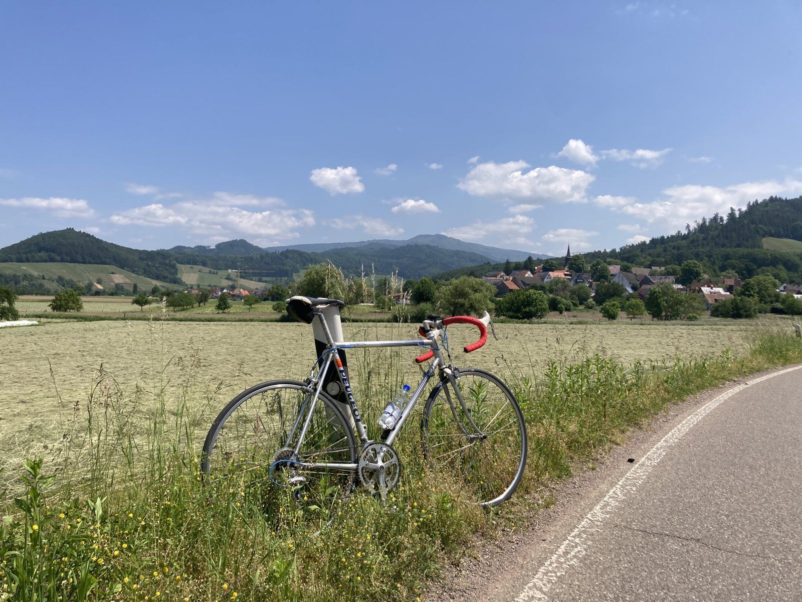 IMG_3162.jpeg