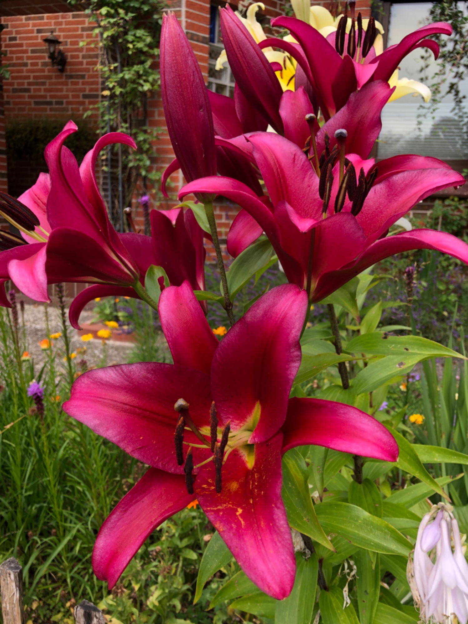 IMG_3404.jpeg