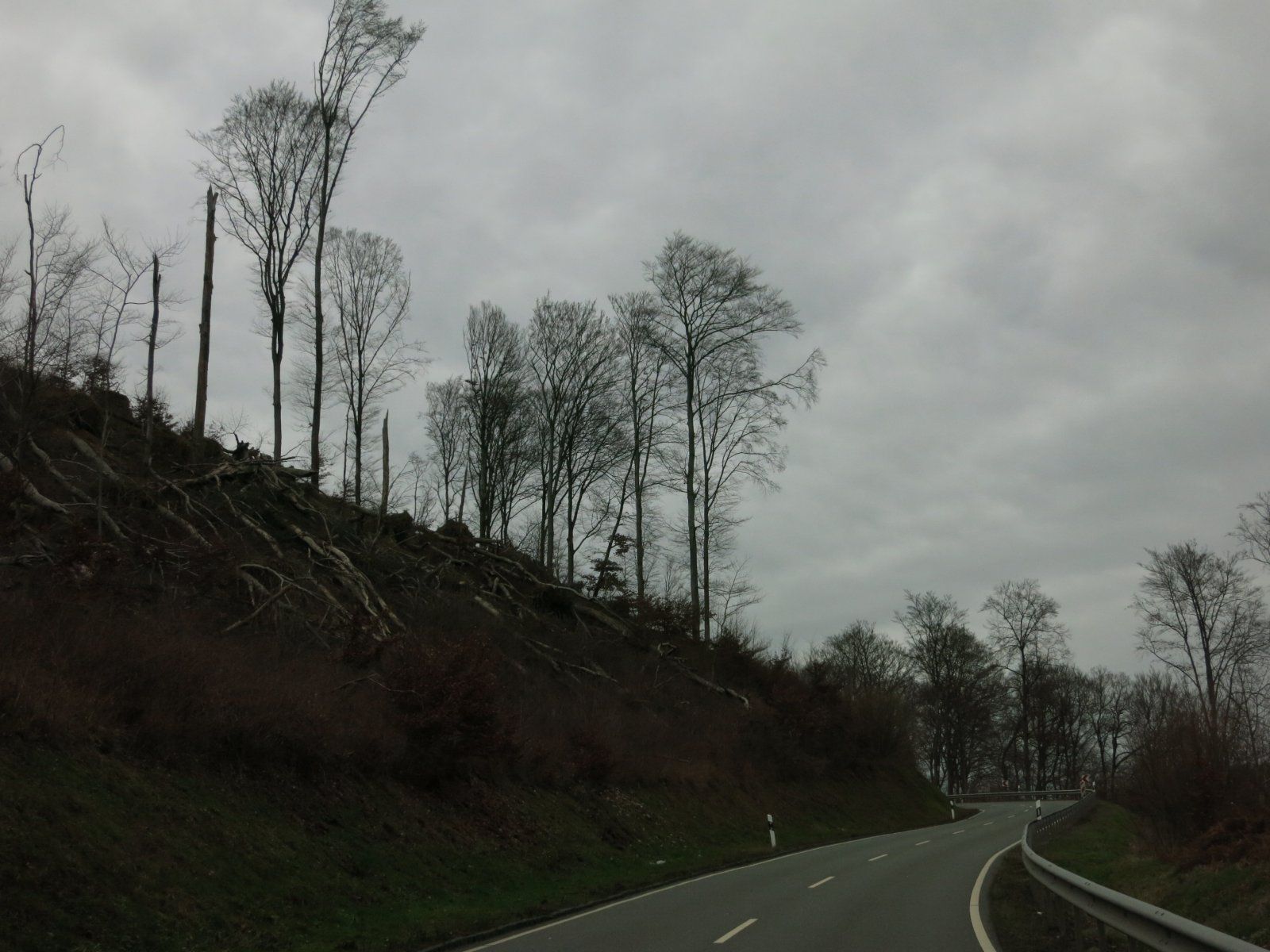 IMG_3569.JPG