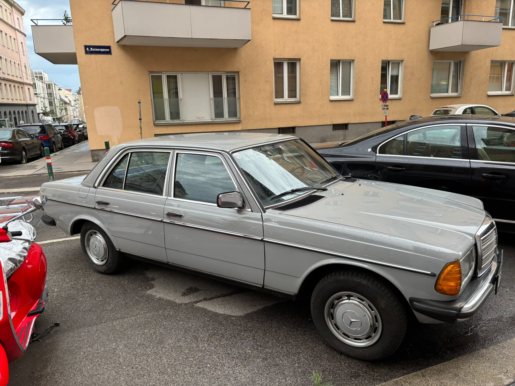 IMG_3624.JPEG