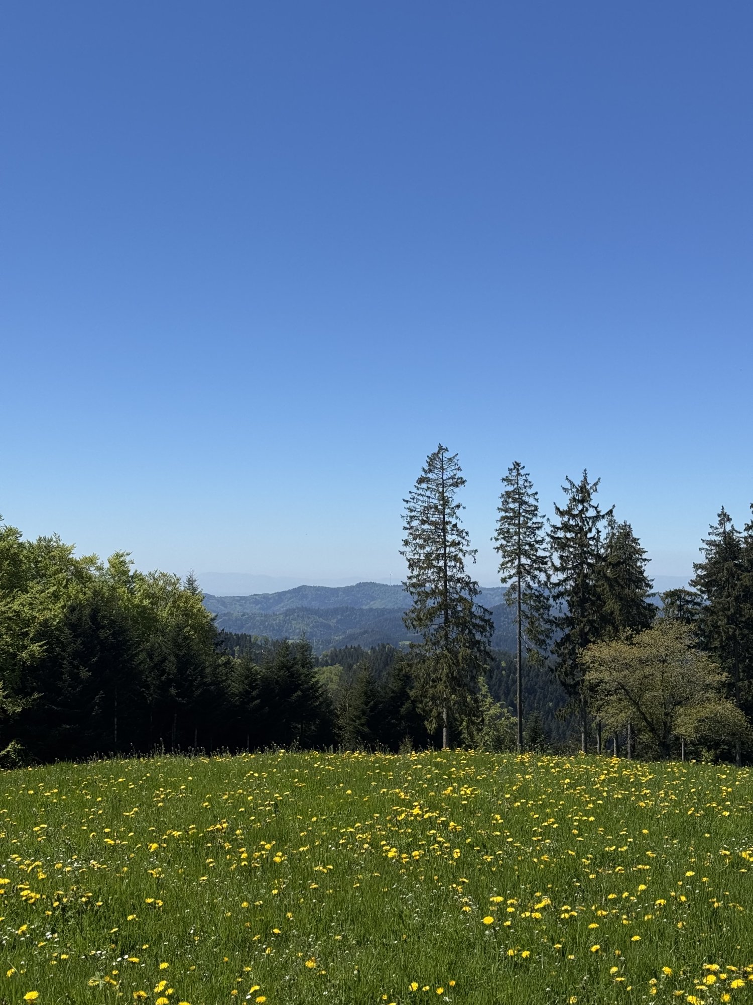 IMG_3792.jpeg