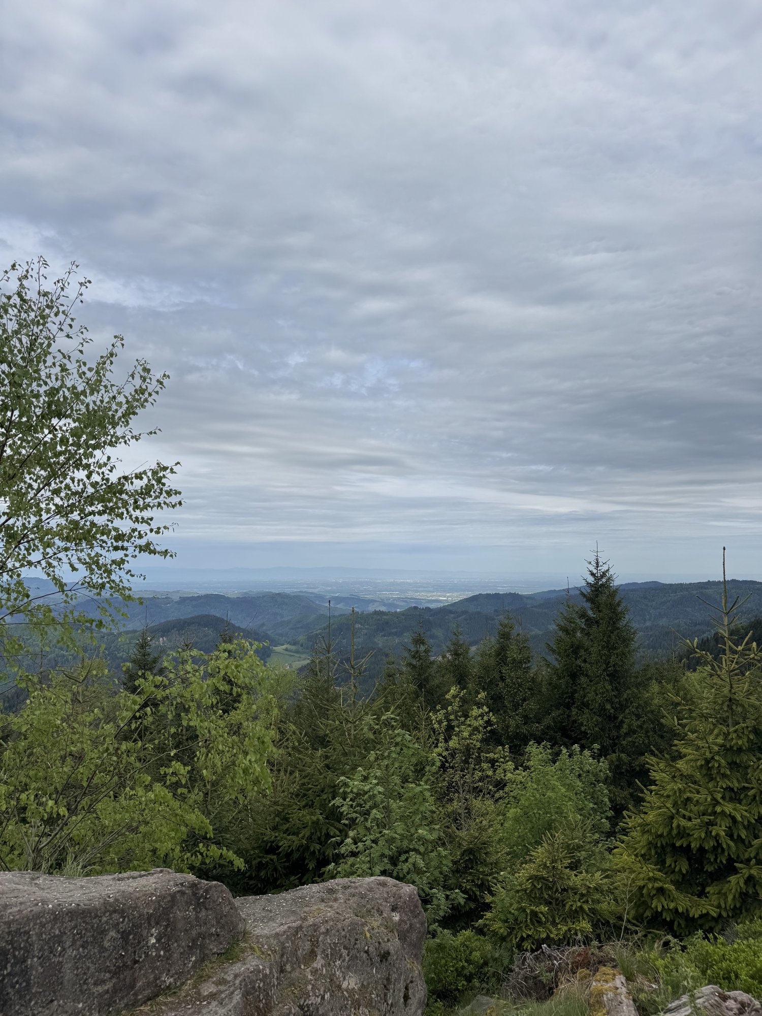 IMG_3900.jpeg