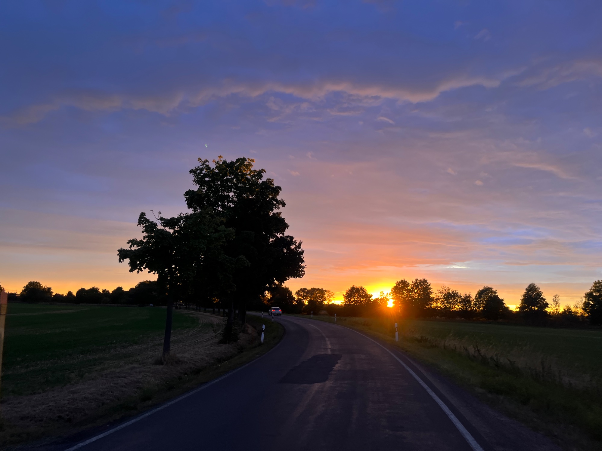 IMG_4022.jpeg