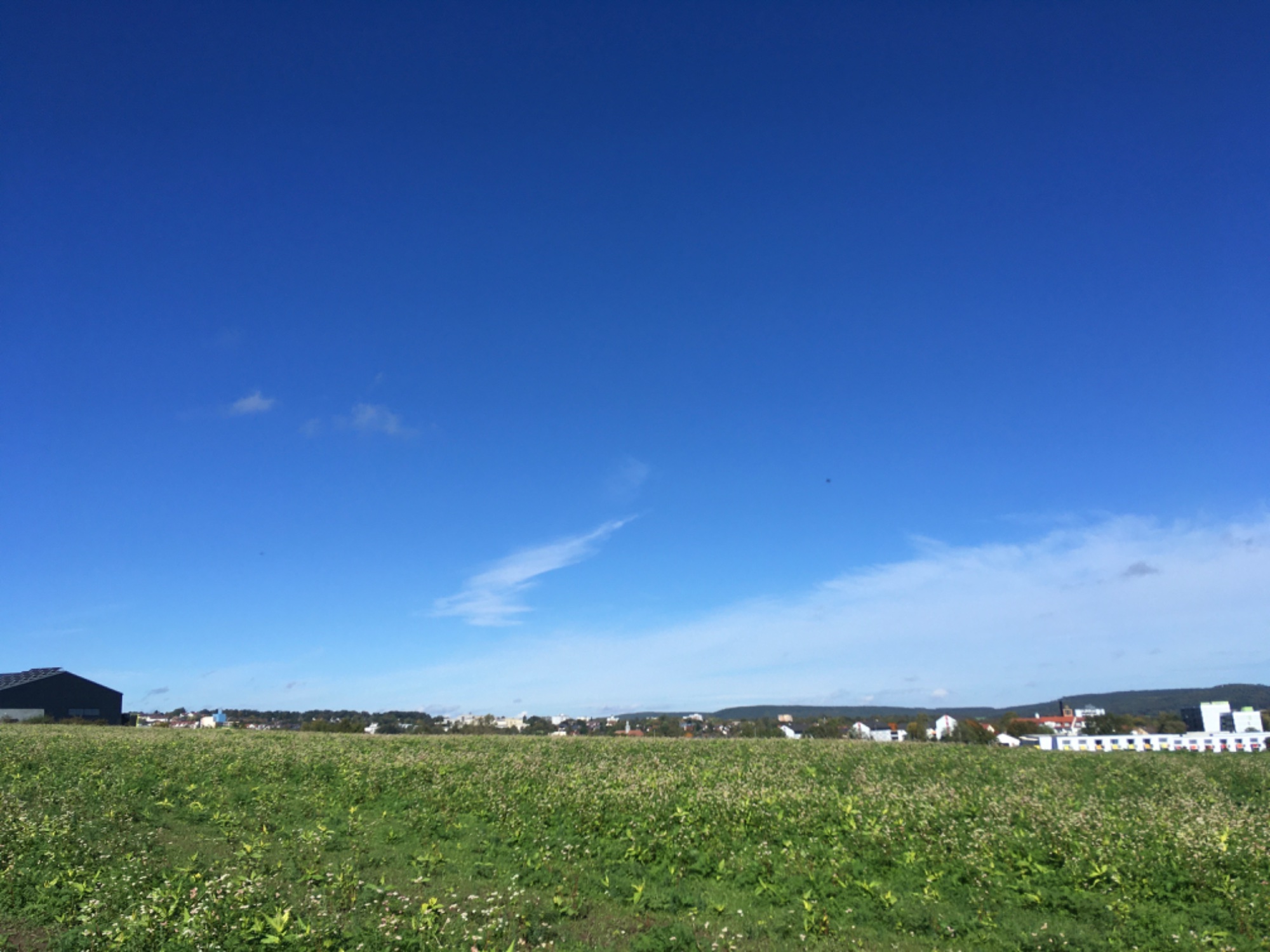 IMG_4400.jpeg