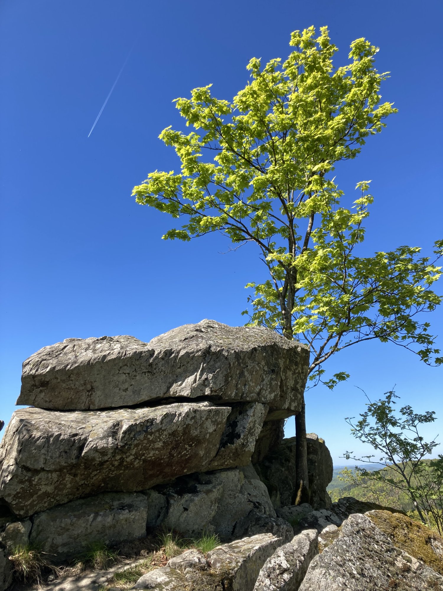 IMG_4891.jpeg
