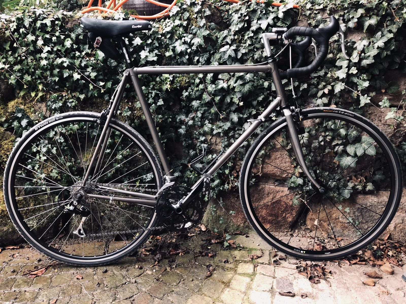 IMG_5384.JPG IMG_5384.JPG