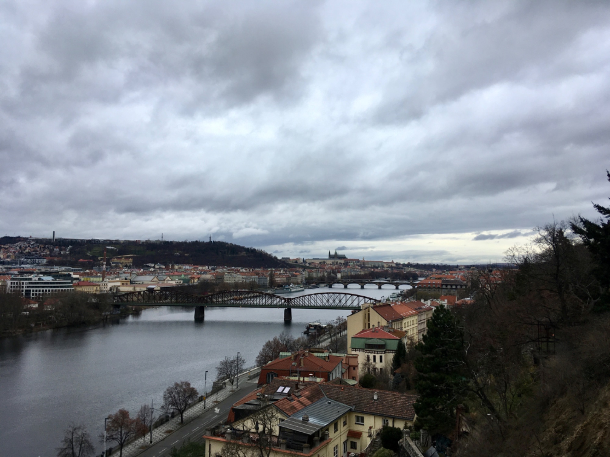 IMG_5444.jpeg