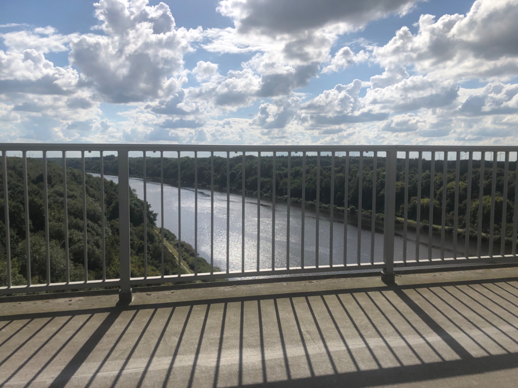 IMG_5448.jpeg