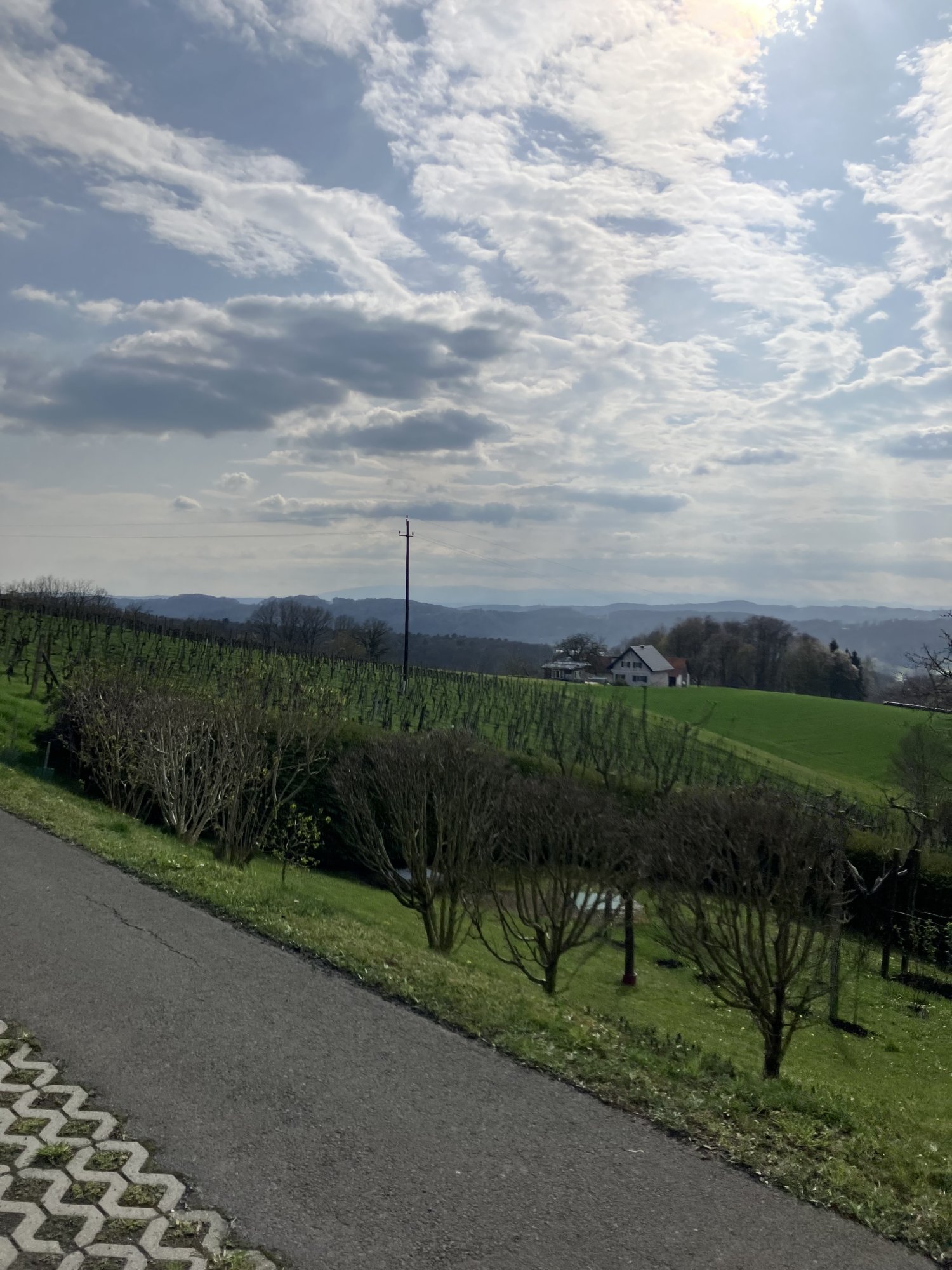 IMG_5536.jpeg