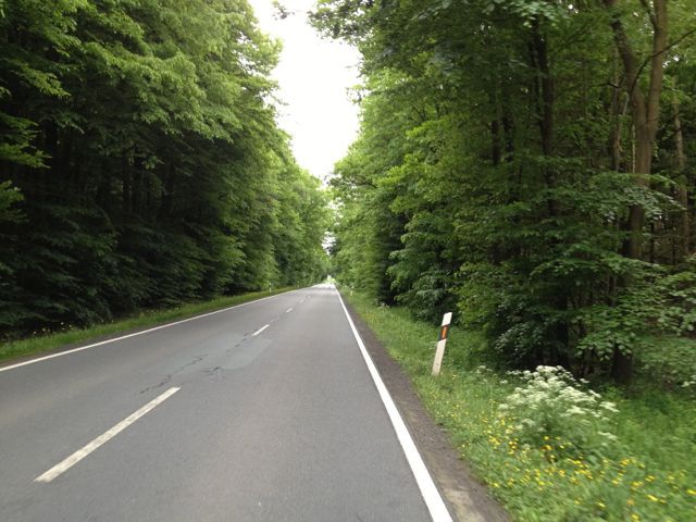 IMG_5625.jpg