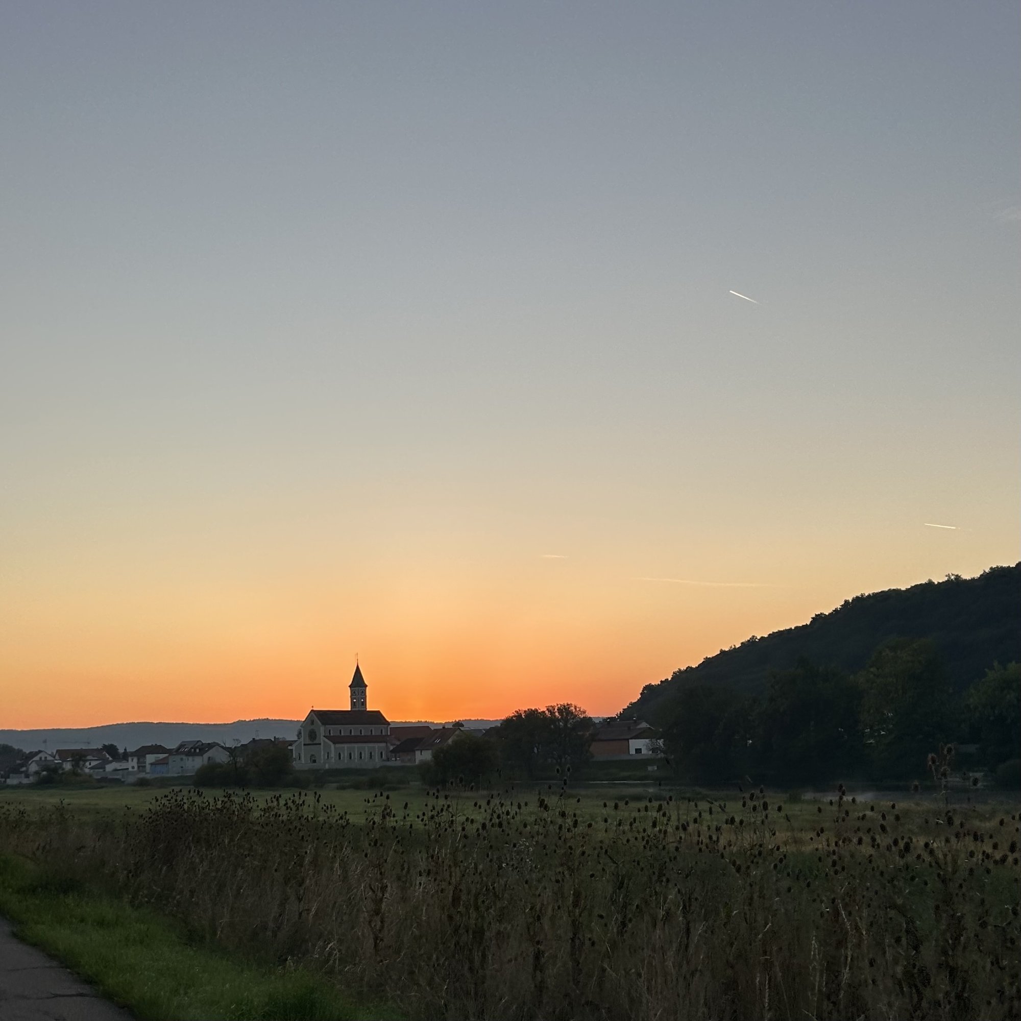 IMG_5686.jpeg