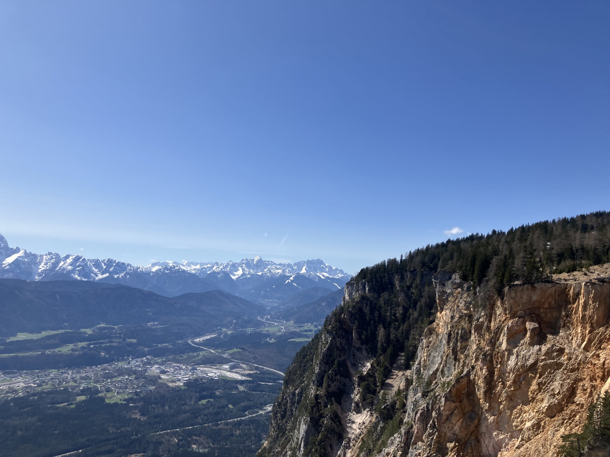 IMG_5950.jpeg