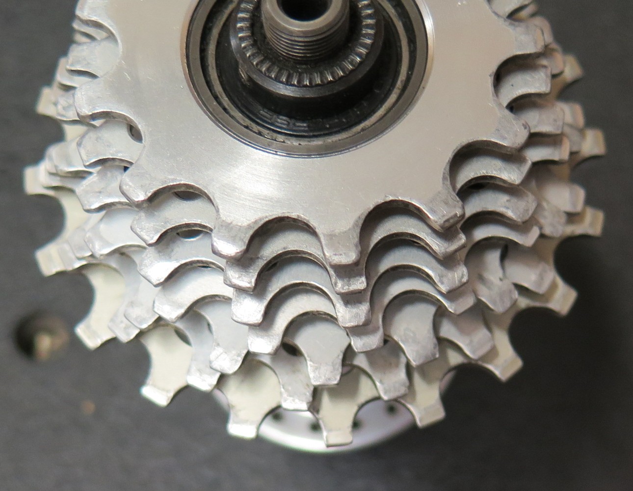 IMG_6056.JPG IMG_6056.JPG