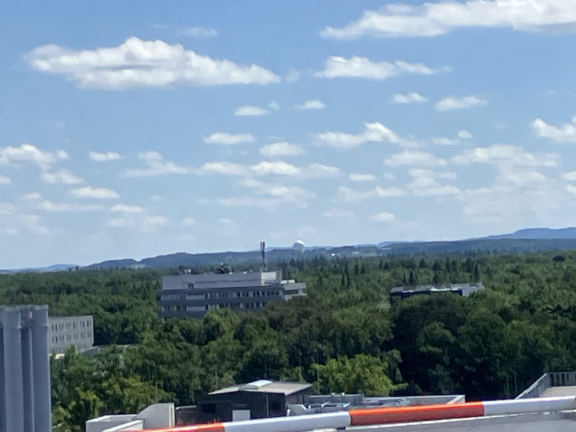 IMG_6089.jpeg