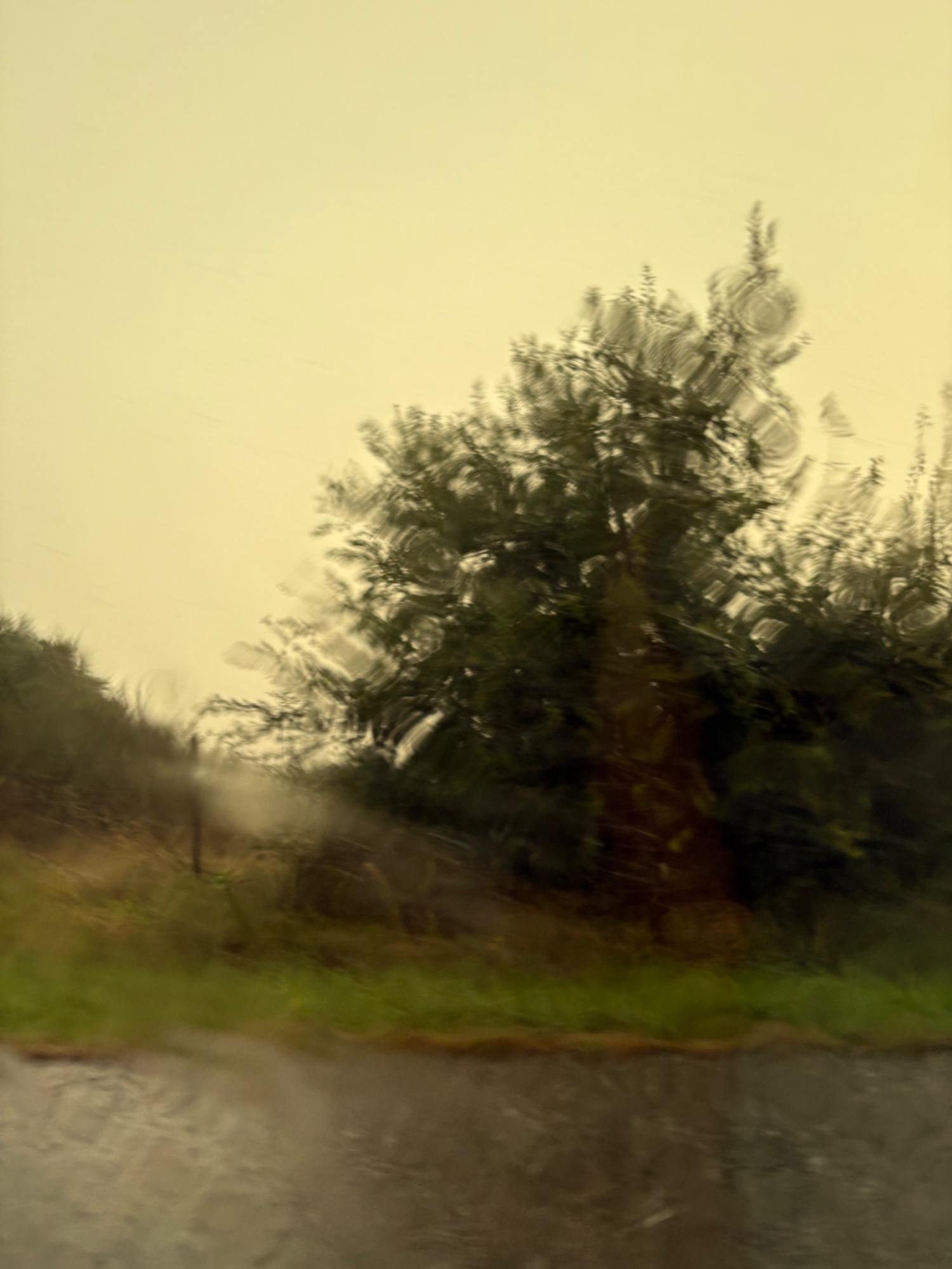 IMG_6668.jpeg