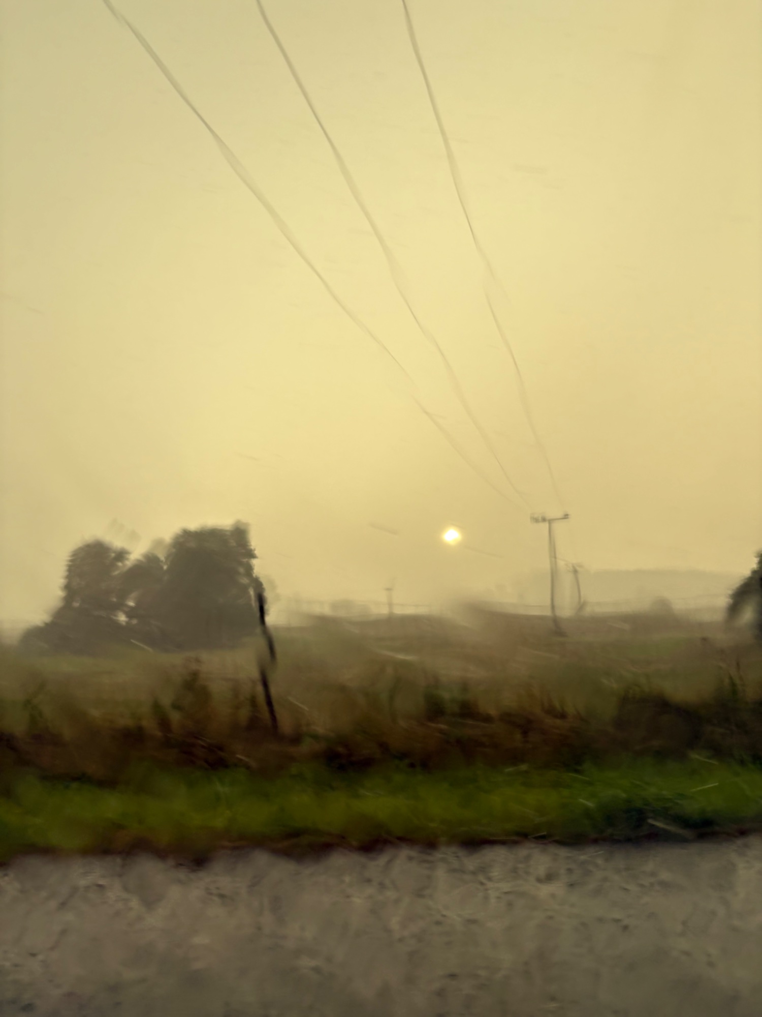 IMG_6671.jpeg