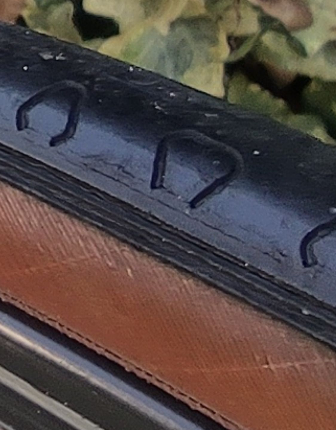 IMG_6825.jpeg