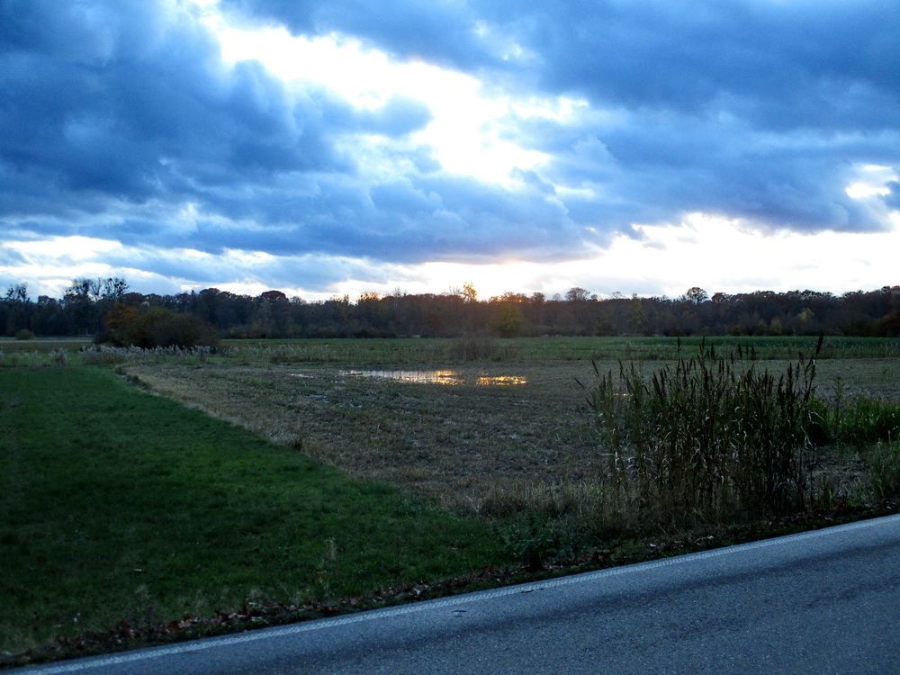 IMG_6977.JPG