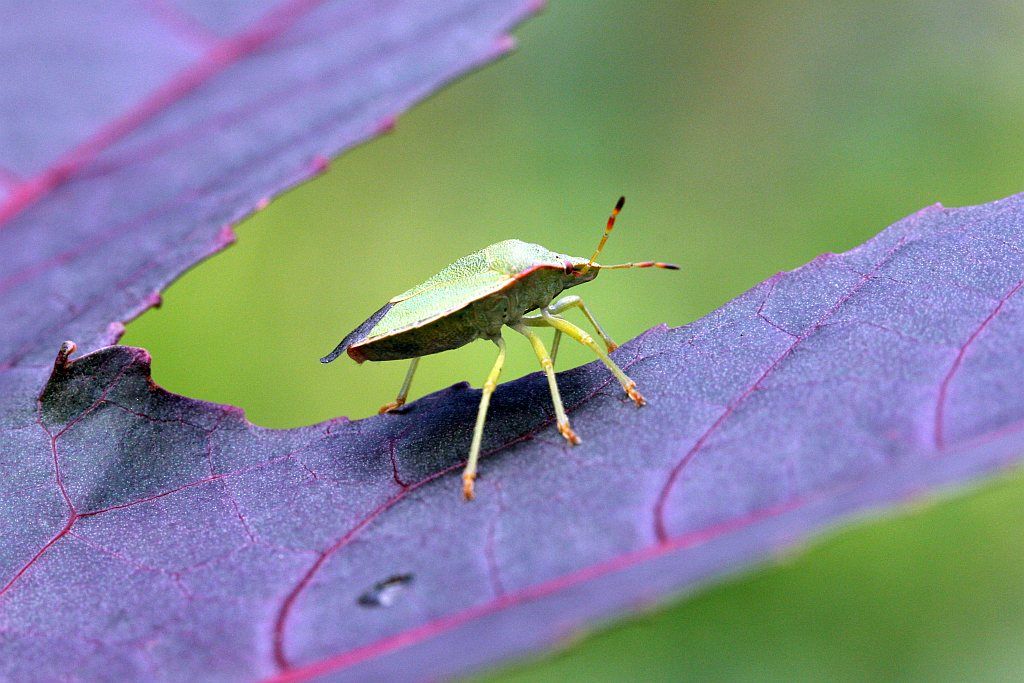 IMG_7014.jpg